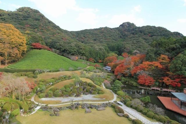 写真：日本庭園秋の様子