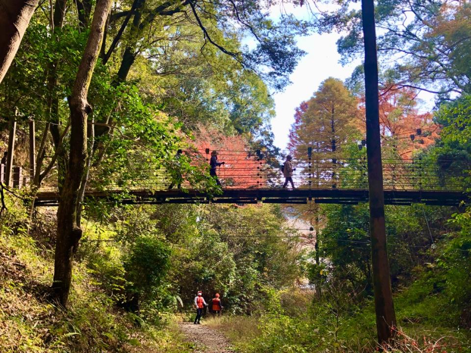 写真：森の中にある吊り橋