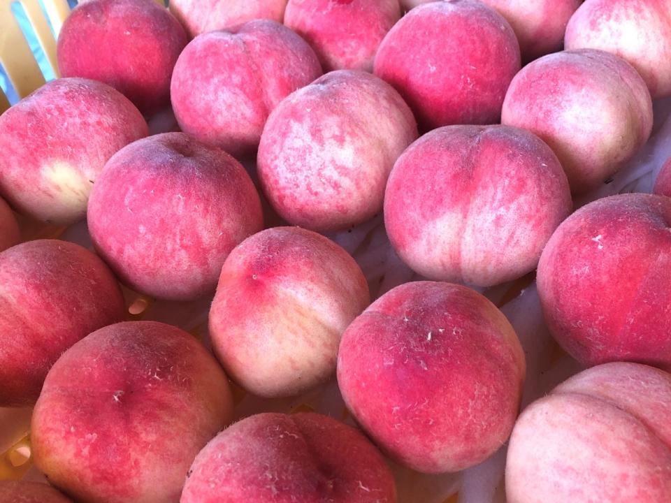 写真：フルーツスムージーで使われる予定の桃