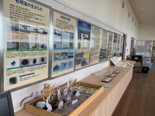 写真：なな海の有明海に関する展示の様子