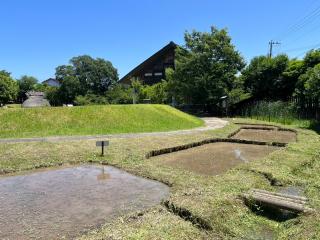 写真：復元水田から見た末盧館。手前の水田では毎年赤米を栽培しています。