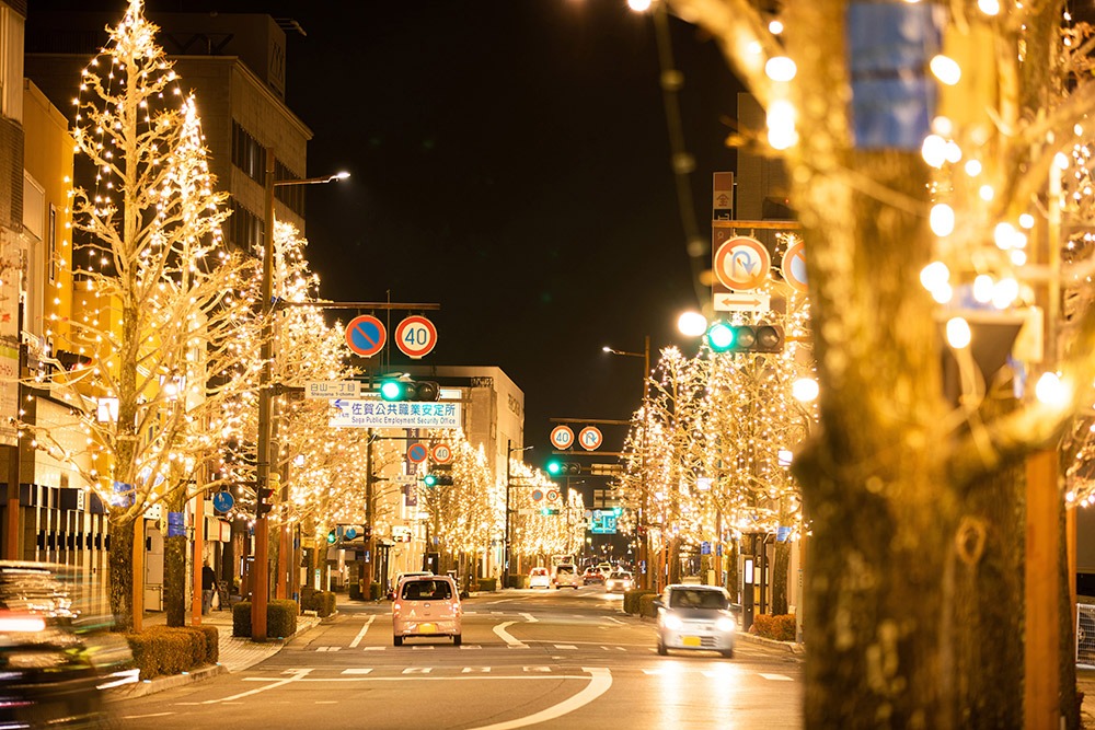 写真：大通りの街路樹がイルミネーション装飾されている夜景