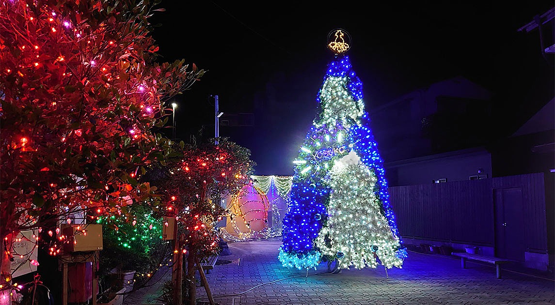 写真：広場中央の大きなクリスマスツリーがイルミネーション装飾されている夜景。手前の植え込みの木にもイルミネーション装飾が施されている