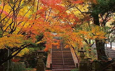 写真：万寿寺の紅葉の様子