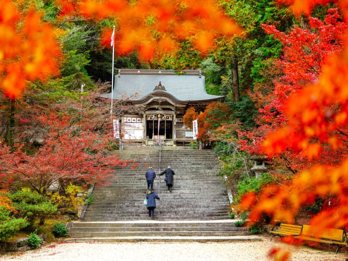 写真：仁比山神社の紅葉の様子