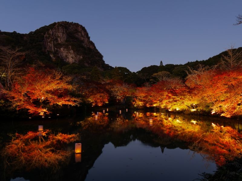 写真：夜間ライトアップした御船山楽園の紅葉の様子