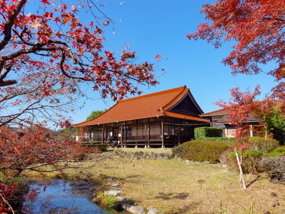 写真：紅葉している西渓公園の様子