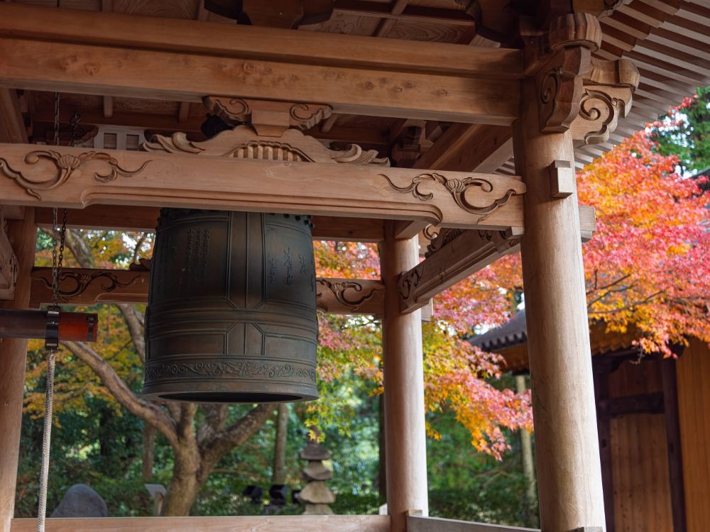 写真：大興善寺の紅葉の様子