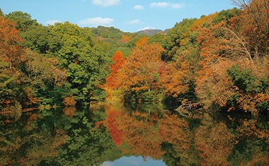 写真：鎮西山の紅葉の遠景