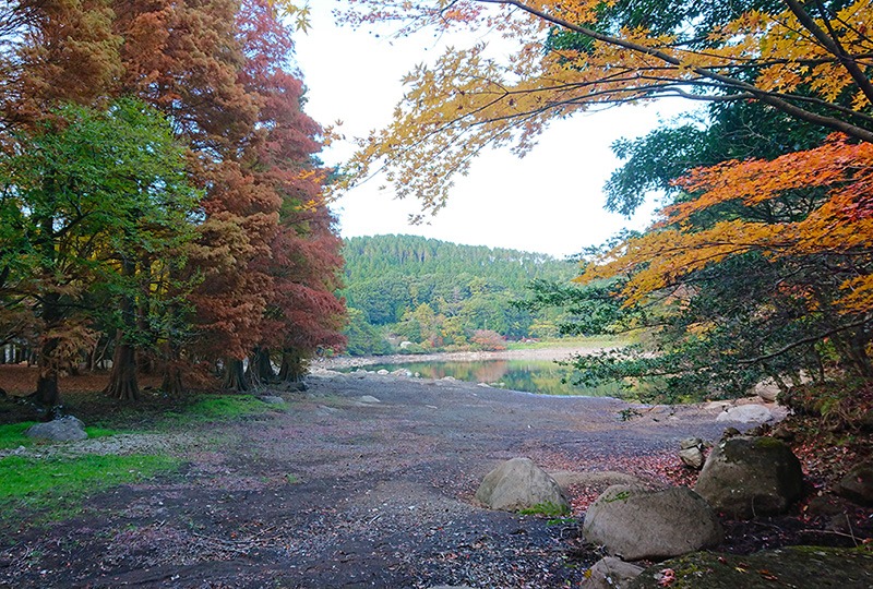 写真：周辺の木々が紅葉している広川原キャンプ場の様子