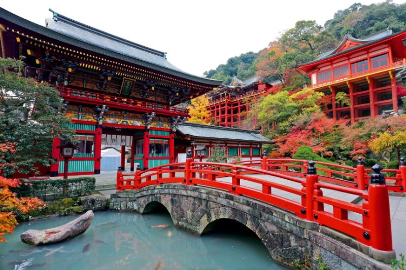 写真：境内が紅葉している祐徳稲荷神社の様子