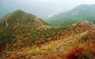 写真：多良岳の紅葉の様子