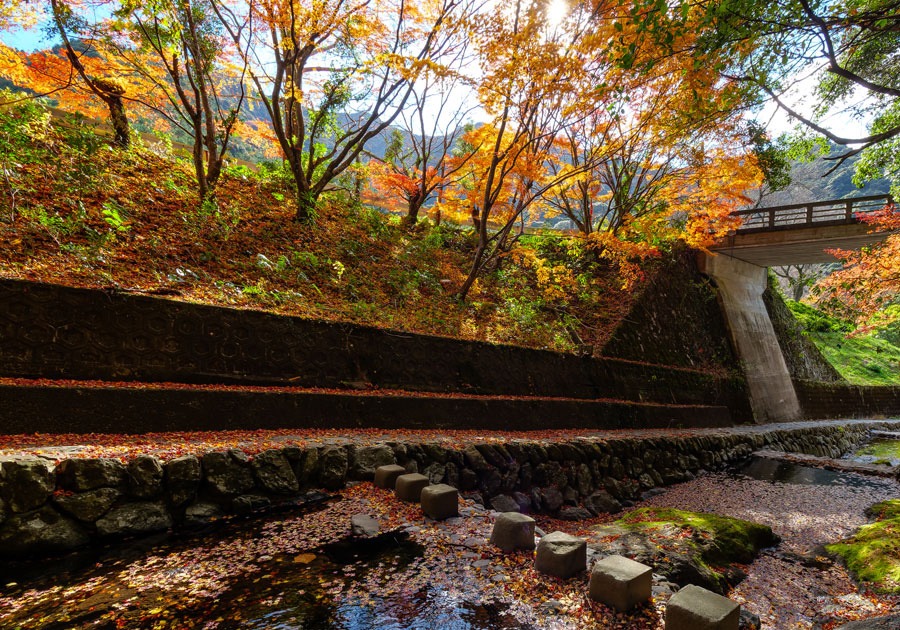 写真：竜門峡の木々が紅葉している風景