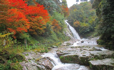 写真：周辺の木々が紅葉している観音の滝の様子