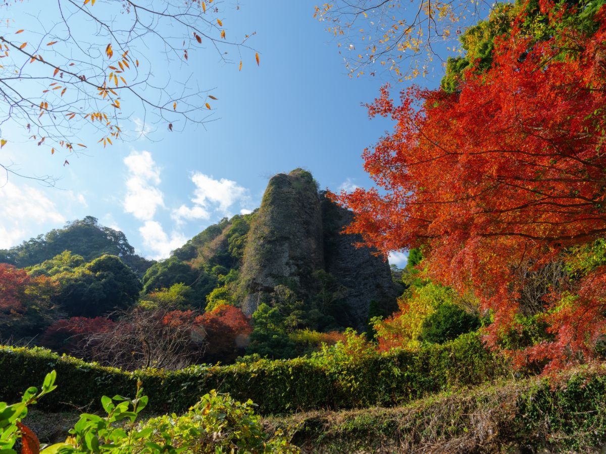 写真：木々が紅葉した黒髪山の風景