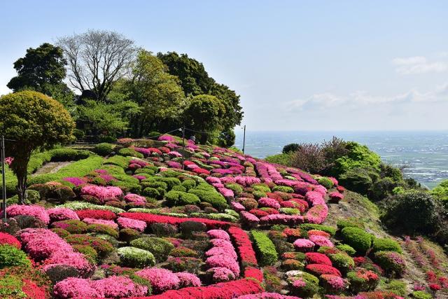 写真：高台から赤・白・ピンク色の花が咲いたツツジ園を見おろす風景。奥の遠景に佐賀平野がかすんで見える