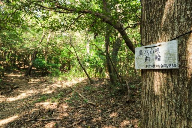 写真：「鷹取山城曲輪」の札が幹についた木が手前にある登山道