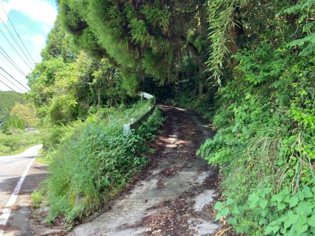 写真：県道から登る小さな山道