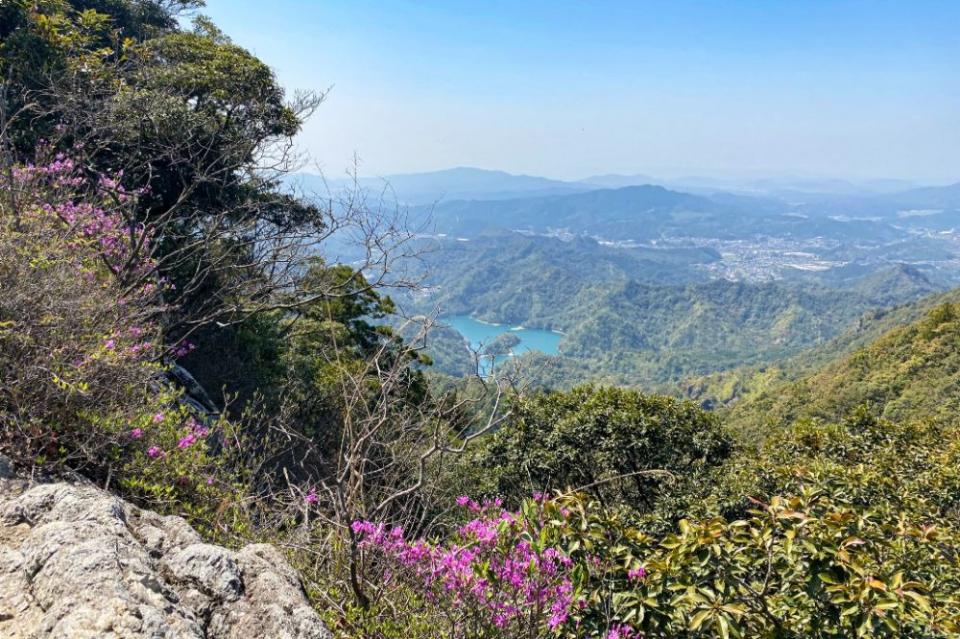 写真：黒髪山の山頂からの眺望。手前の藪にミツバツツジの花、奥の遠景に有田ダムの湖が見える