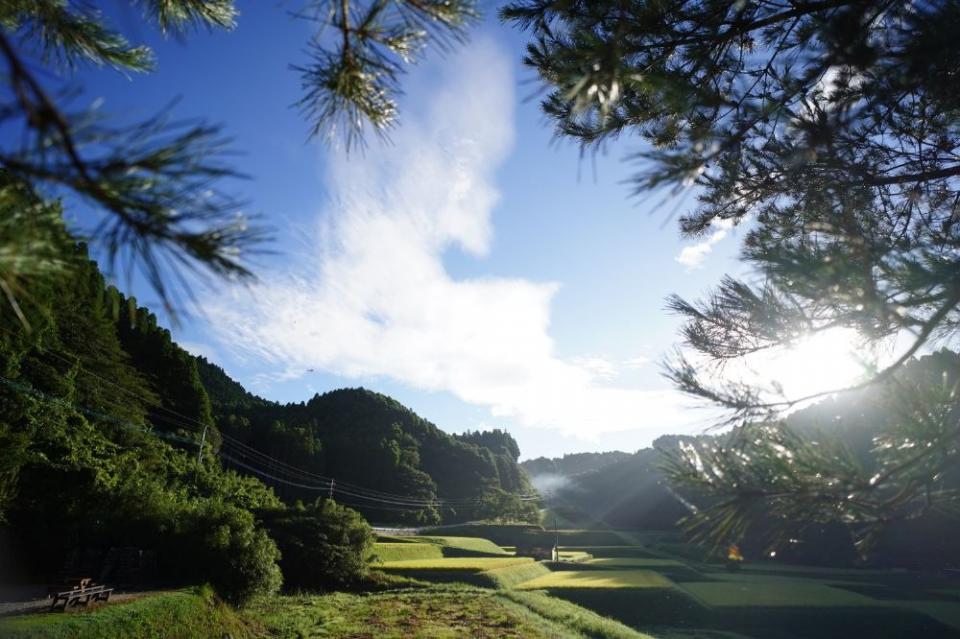 写真：棚田が広がる山あいの朝の風景