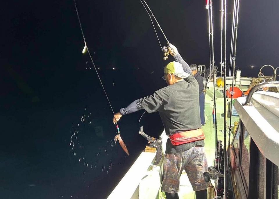 写真：釣り人が船上からイカを釣り上げている様子