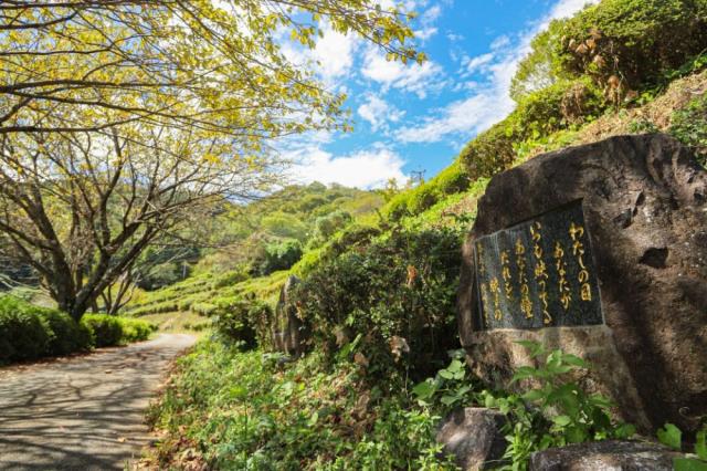 写真：公園内の風景。小道が画面奥に向かって伸びており、道の傍らに歌碑がある。歌碑に「わたしの目あなたがいつも映ってるあなたの瞳だれを映すの」と刻まれている