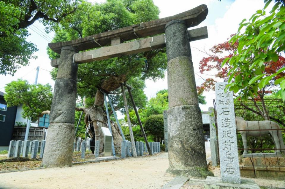 写真：肥前鳥居の正面右寄りの様子。手前に「県重要文化財 石造肥前鳥居」の石碑が立っており、奥に琴の楠が見える