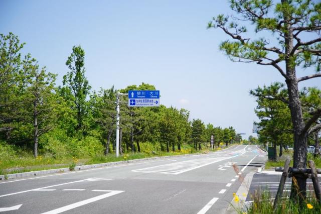 写真：空港周辺の道路。青い案内標識に柳川・大川の方向と、九州佐賀国際空港の入り口が示されている。道の両脇に黄色い野の花が咲いている