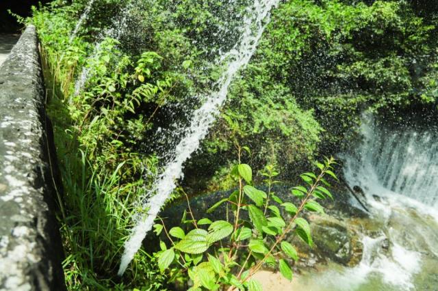 写真：橋の上から放水を見る様子