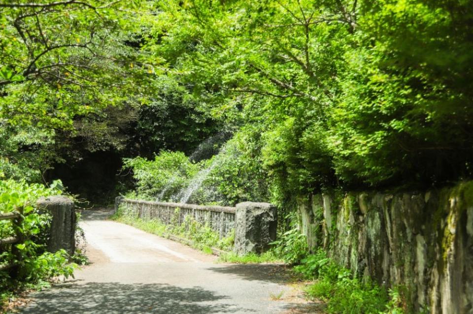 写真：橋をたもとから眺めた風景。奥の林に向かって道が伸びている