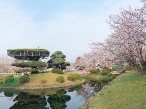 写真：池の有る庭園の様子