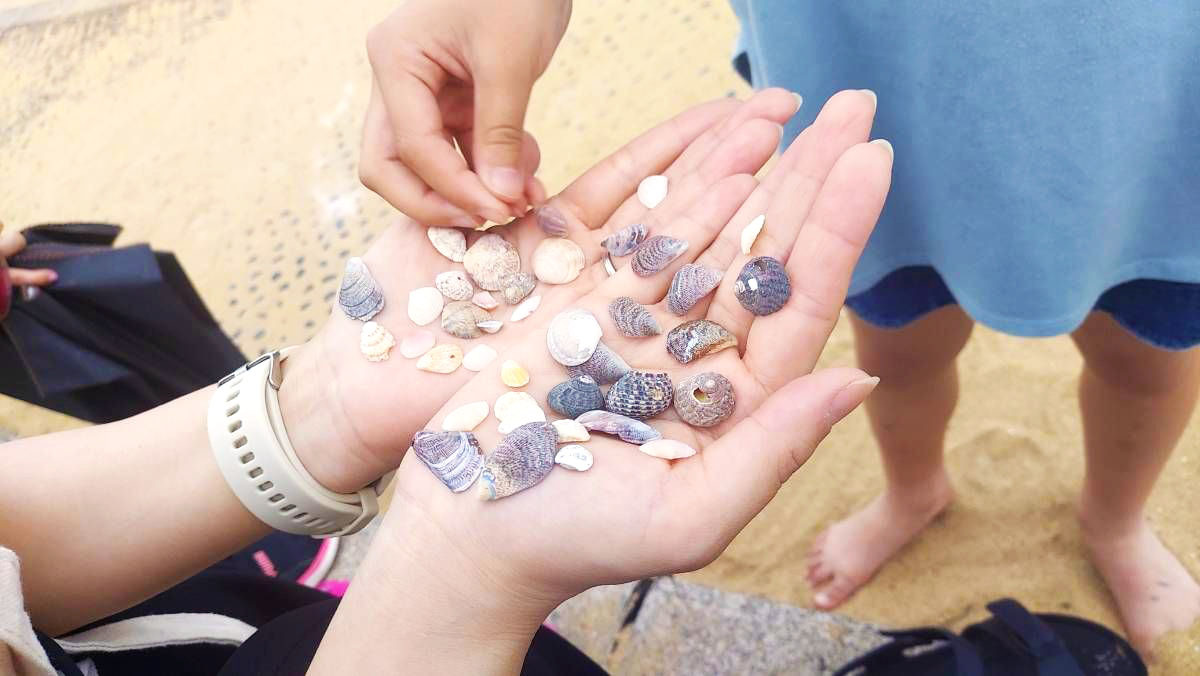 写真：波戸岬海水浴場で貝殻拾い