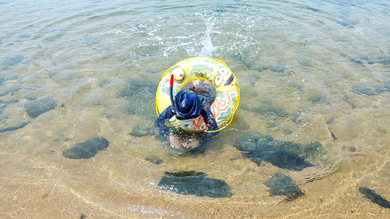 写真：波戸岬海水浴場で泳ぐ子ども