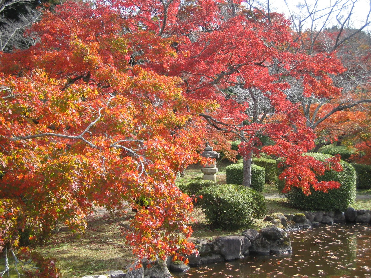 写真：孔子の里紅葉まつり