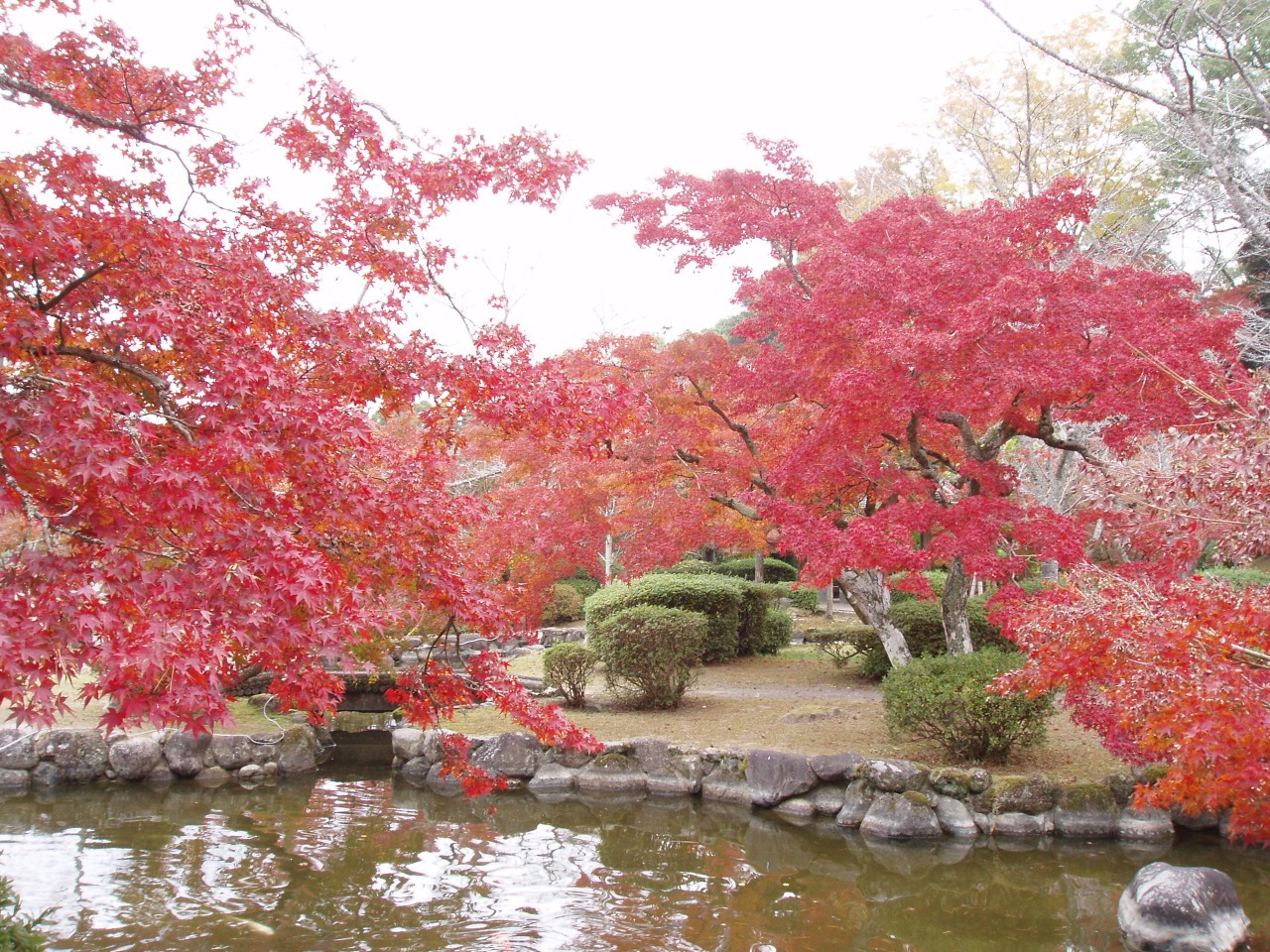 写真：孔子の里紅葉まつり