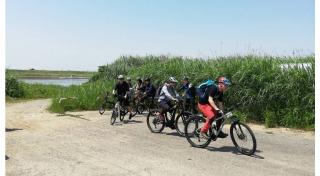 写真：参加者グループが川沿いのサイクリングロードをサイクリングしている様子