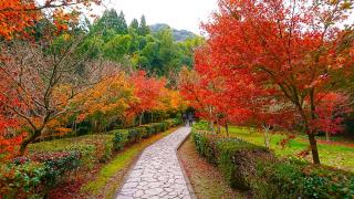 写真：武雄神社境内の紅葉の風景