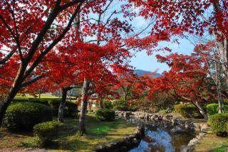 写真：孔子の里紅葉まつり