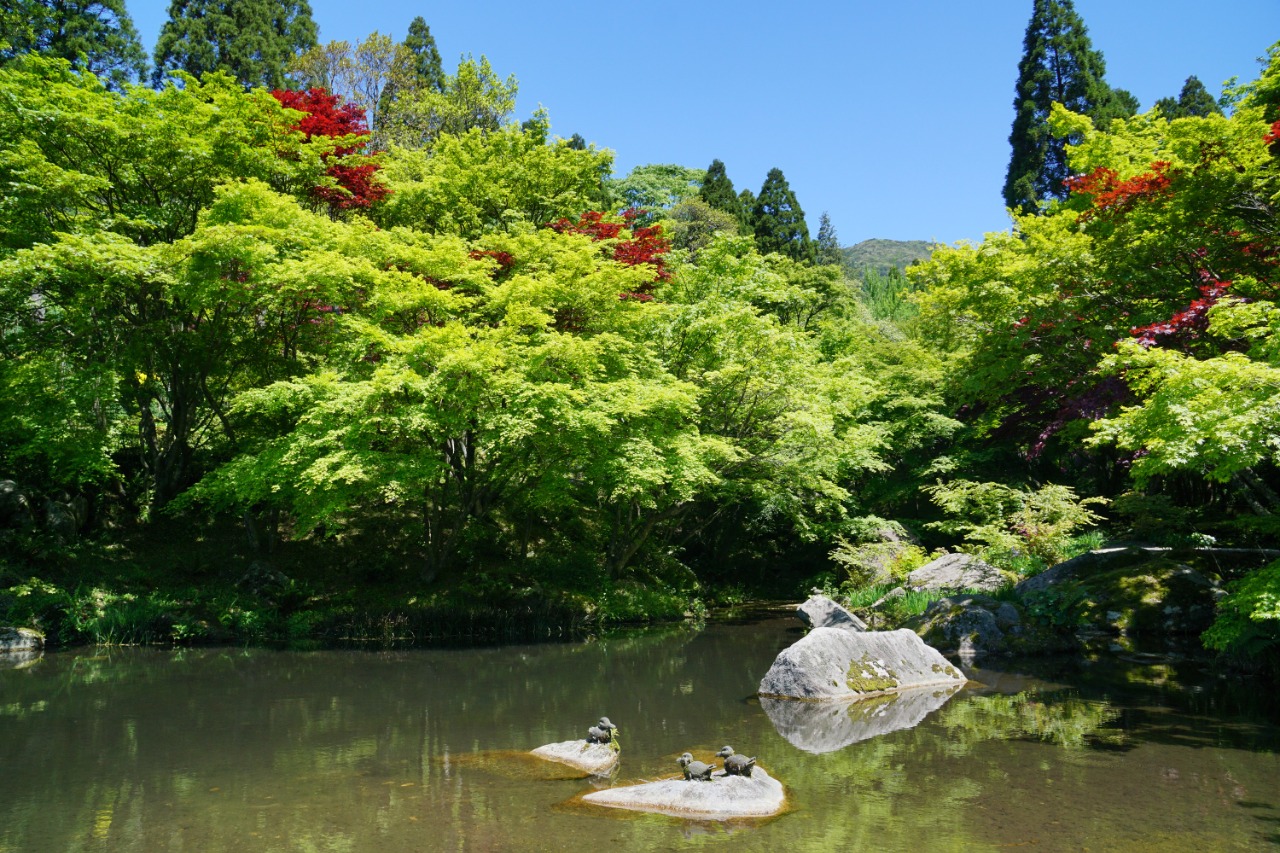 環境芸術の森の写真