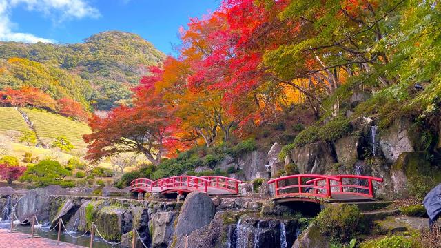 写真：日本庭園「慧洲園」の紅葉の風景