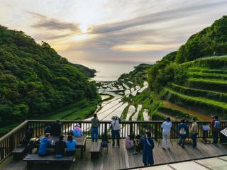 浜野浦の棚田の画像