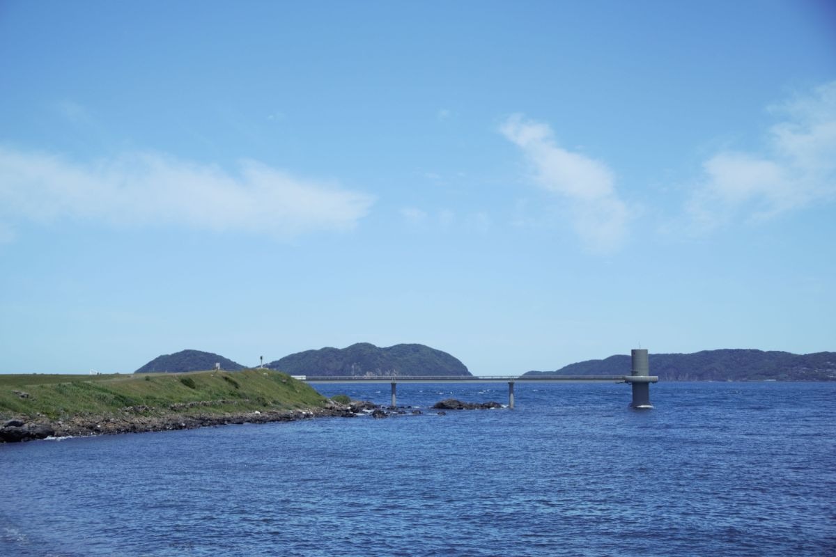 波戸岬の画像