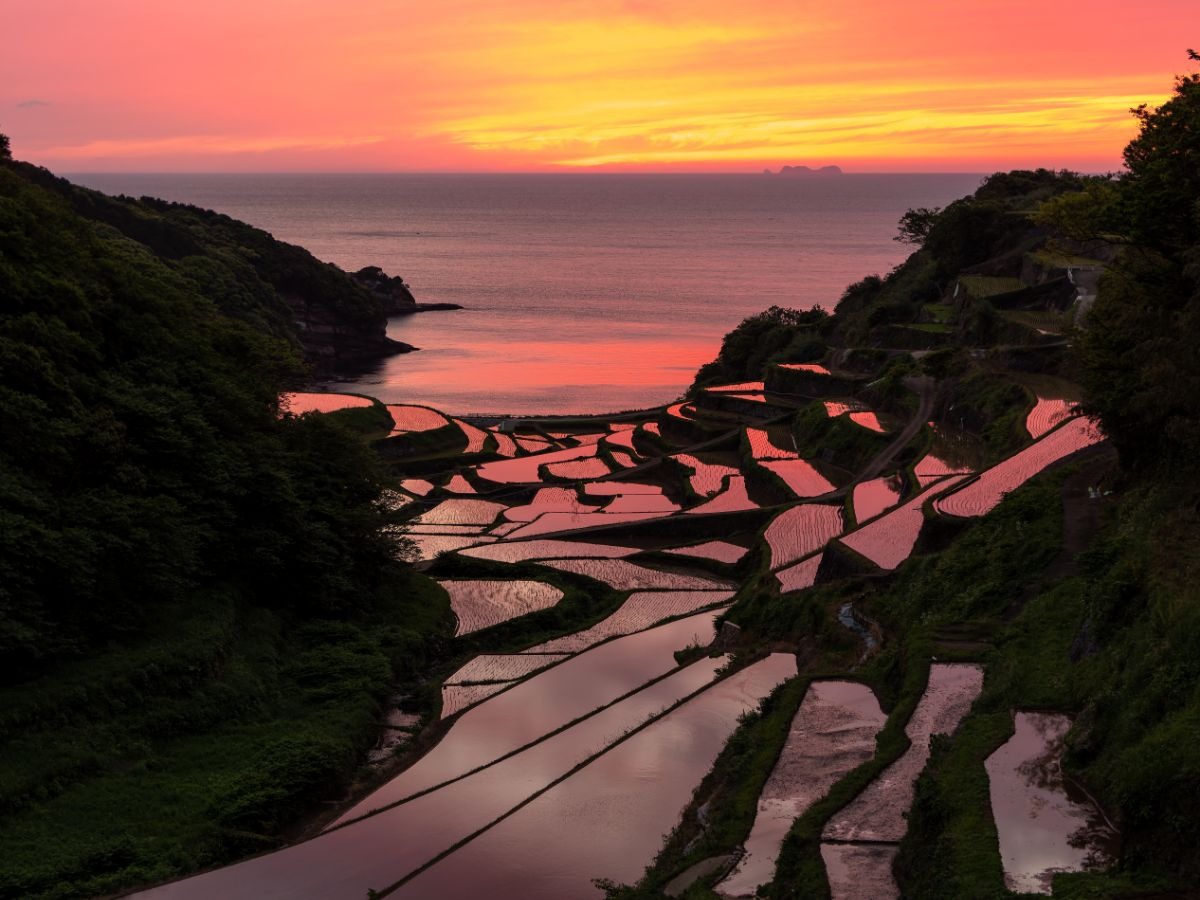 浜野浦の棚田の画像