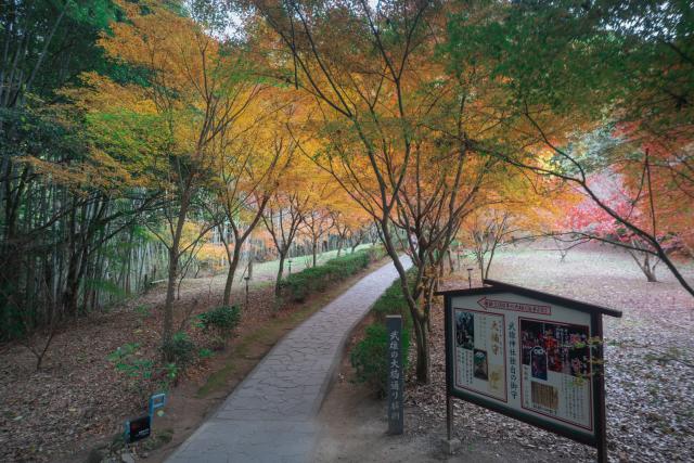 写真：武雄神社