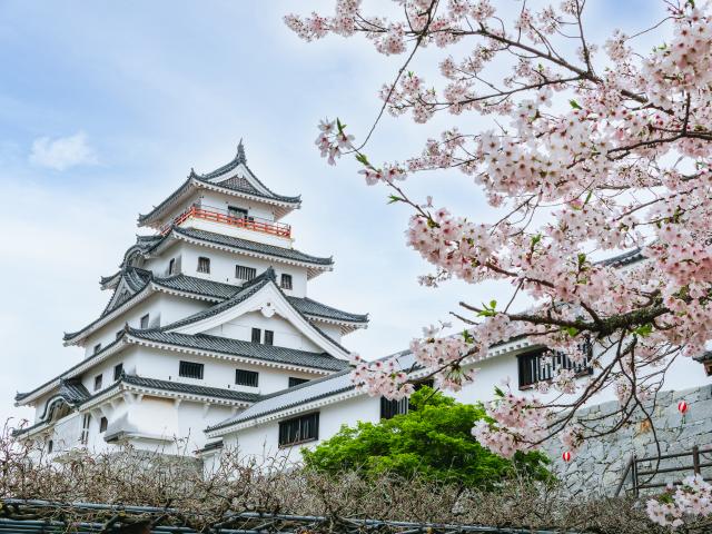 写真：唐津城（桜）