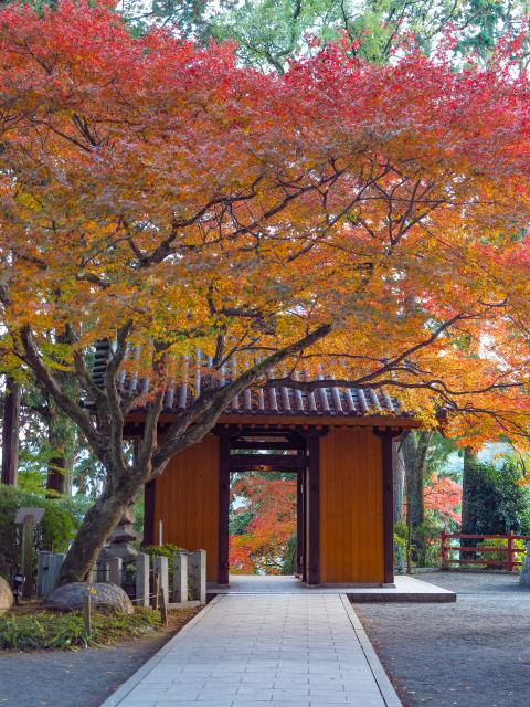 写真：大興善寺