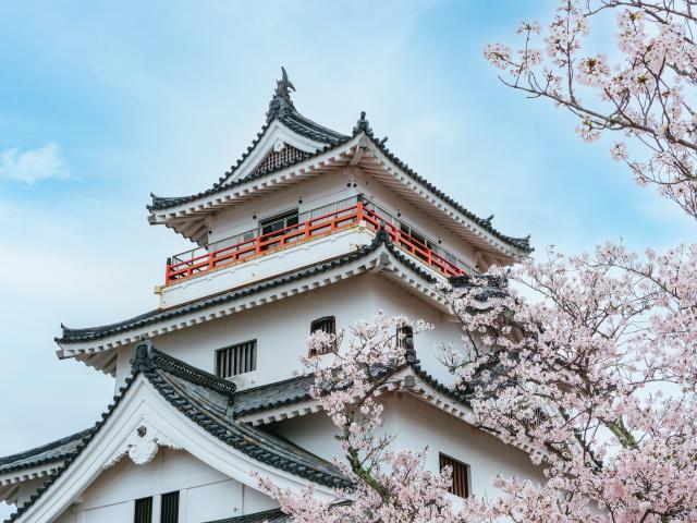 写真：唐津城（桜）