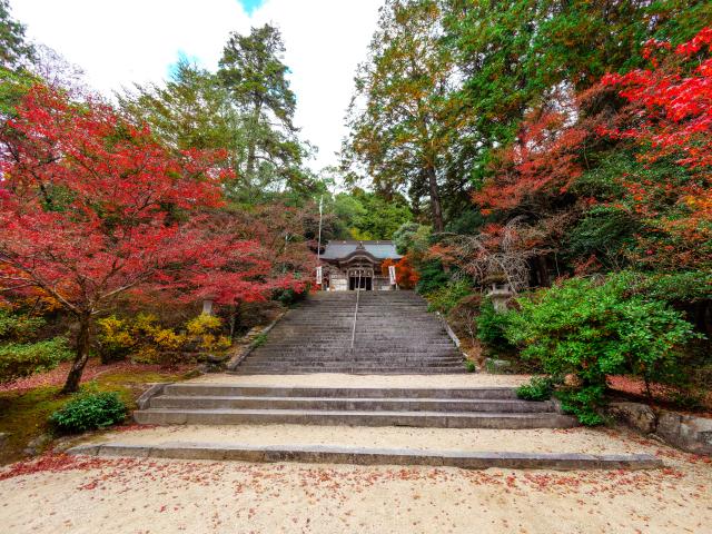 写真：仁比山神社