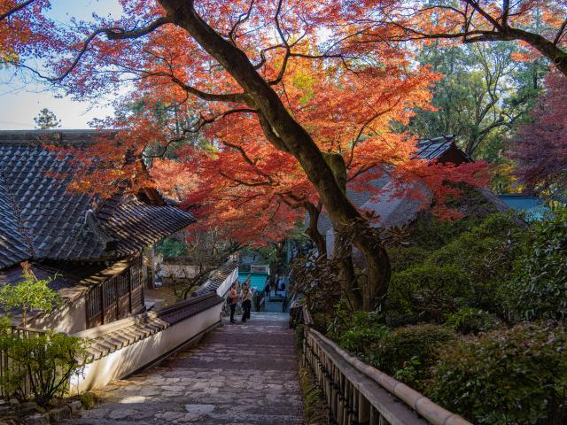 写真：大興善寺