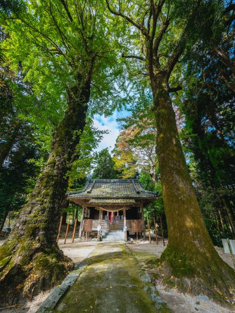 写真：大山祇神社